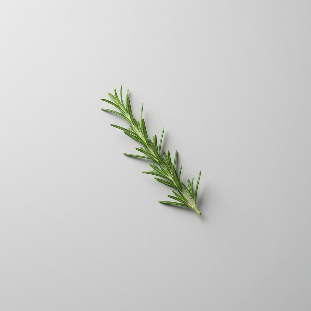 A fresh rosemary sprig